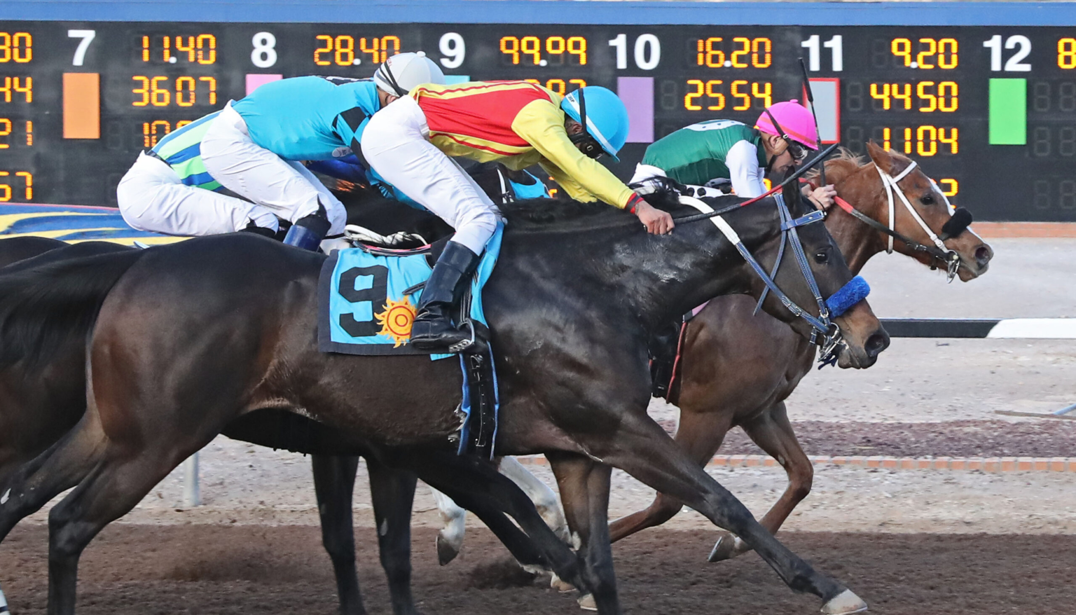 AMERICAN CHERUB – LaSenora Stakes – 01-16-25 – R09 – Sunland Park – Finish