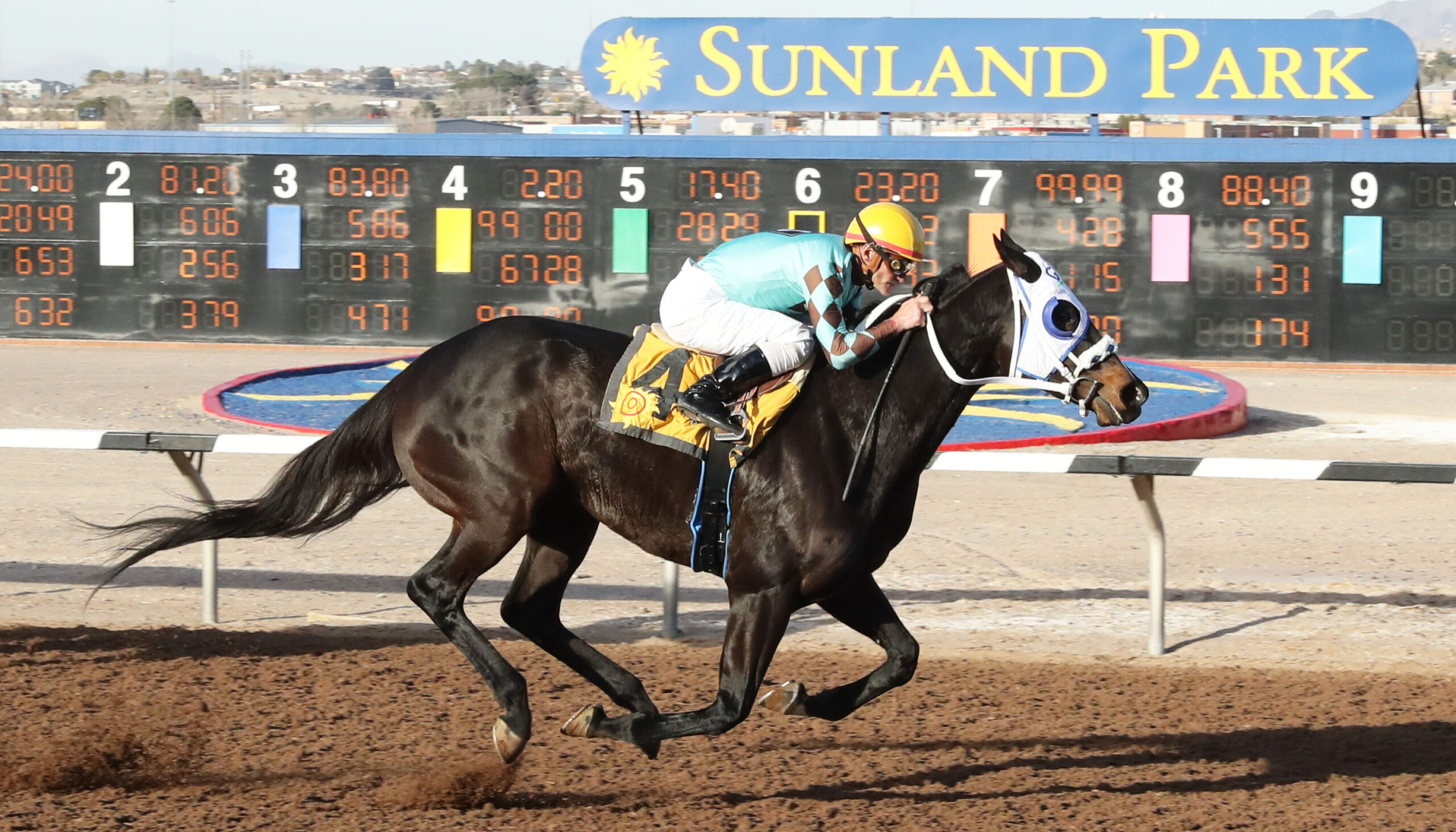 CORRINA CORRINA – The 24th Running of New Mexico State Racing Commission Stakes – 01-03-25 – R08 – Sunland Park – Finish