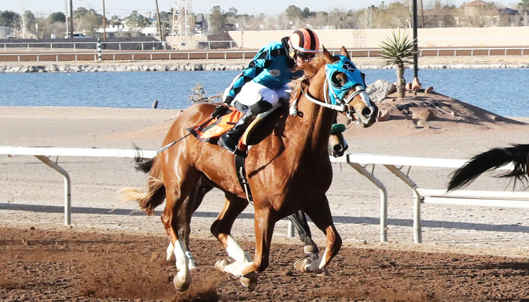 STAND UP GUY – Corralito Steak House Stakes – 01-16-25 – R08 – Sunland Park – Finish