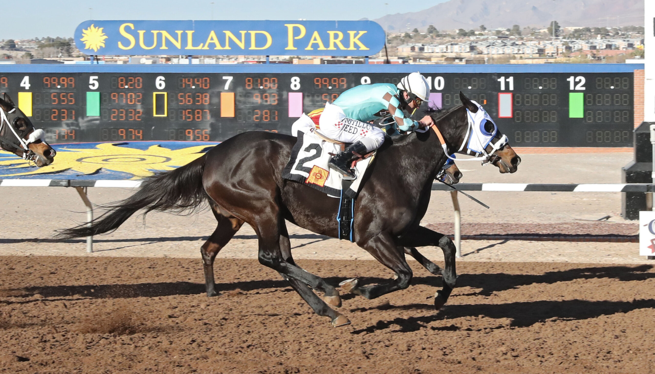 CORRINA CORRINA – La Coneja Stakes – 01-31-25 – R08 – Sunland Park – Finish