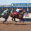 New Mexico State University Stakes
